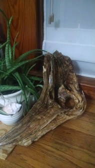 img_20160908_061807519