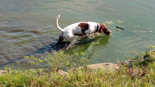 IMG_20170731_083713594