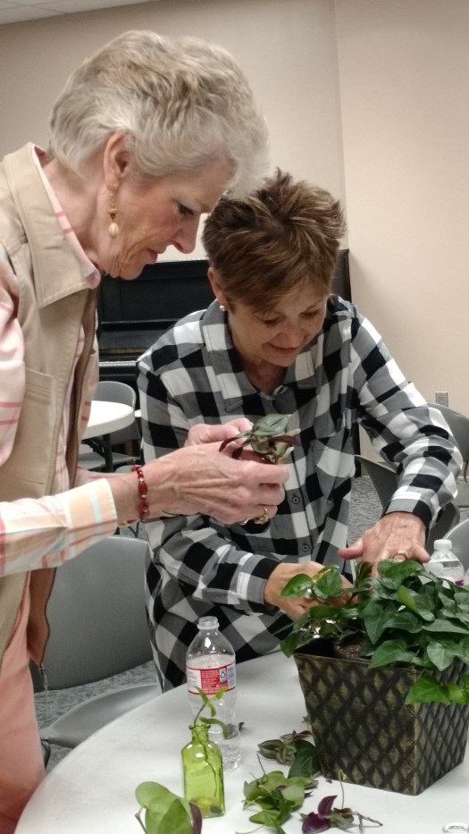 IMG_20180417_103936908 (2)