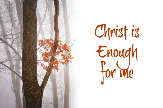 autumnb-2857032_1920